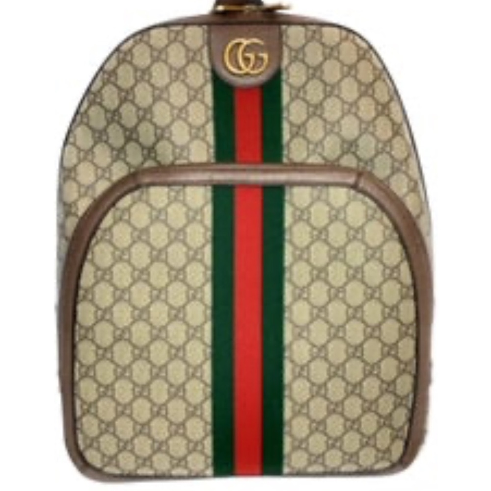 Gucci back pack (serial numbers on inside)